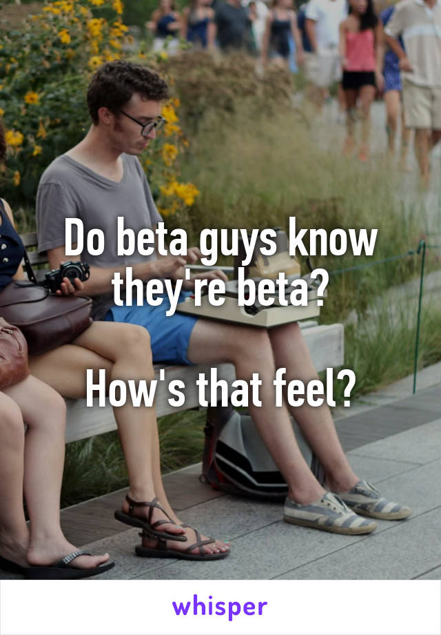 Do beta guys know they're beta?

How's that feel?