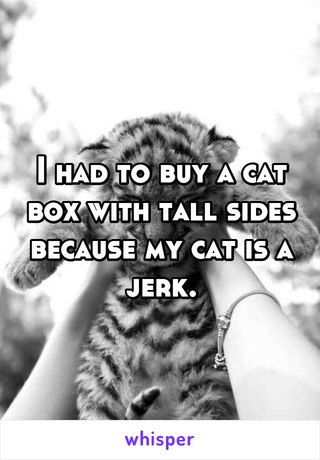 I had to buy a cat box with tall sides because my cat is a jerk.