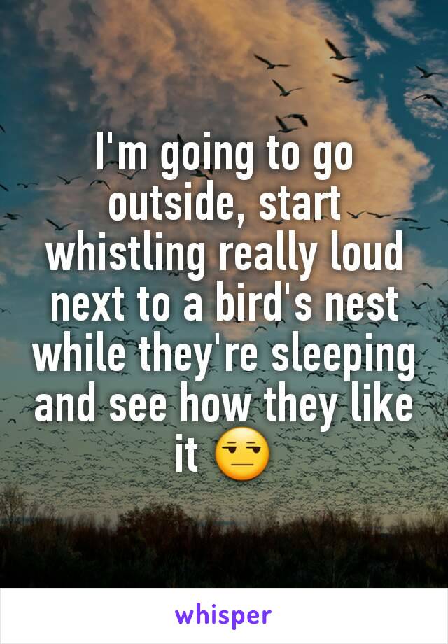 I'm going to go outside, start whistling really loud next to a bird's nest while they're sleeping and see how they like it 😒