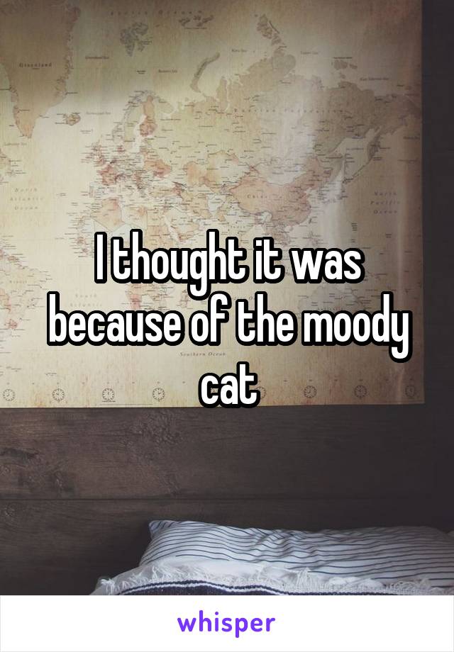 I thought it was because of the moody cat