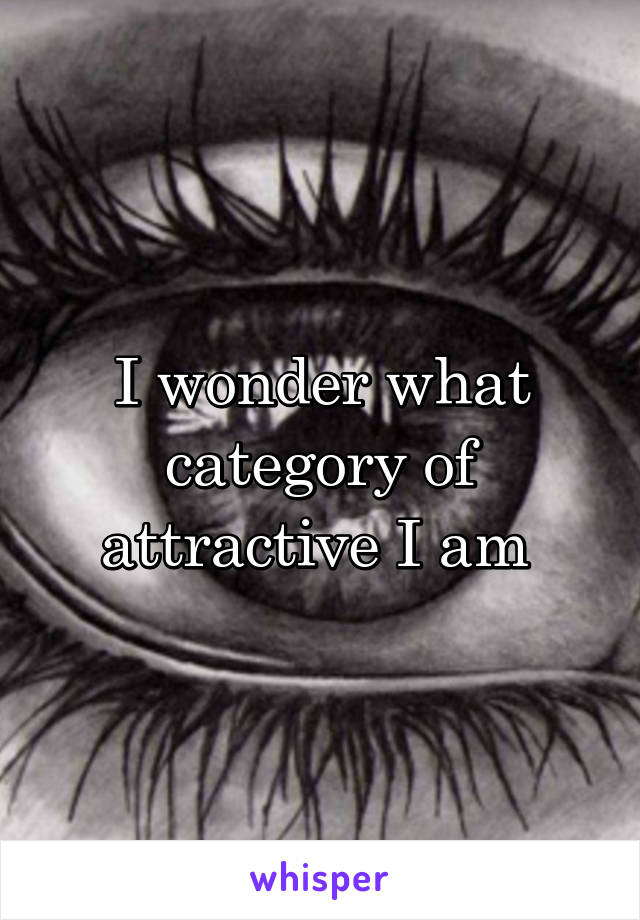 I wonder what category of attractive I am 