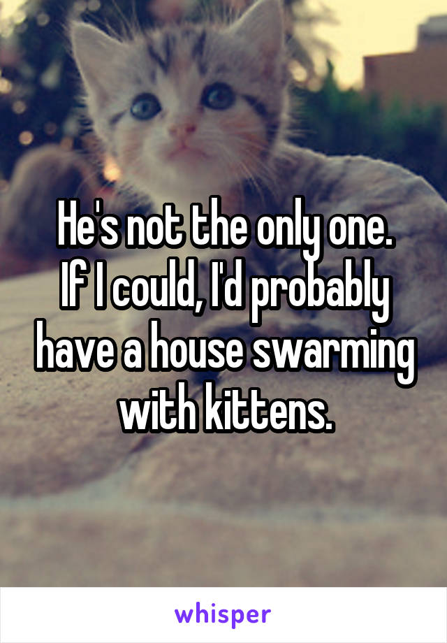 He's not the only one.
If I could, I'd probably have a house swarming with kittens.