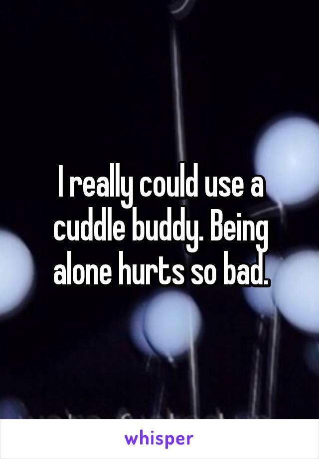 I really could use a cuddle buddy. Being alone hurts so bad.