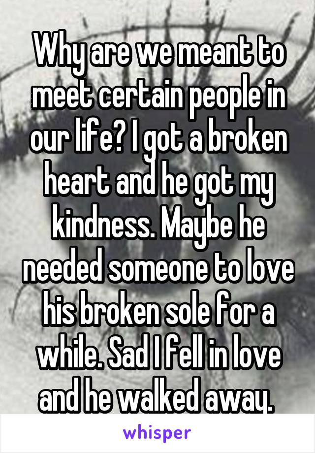 Why are we meant to meet certain people in our life? I got a broken heart and he got my kindness. Maybe he needed someone to love his broken sole for a while. Sad I fell in love and he walked away. 