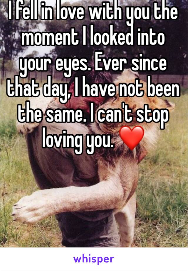 I fell in love with you the moment I looked into your eyes. Ever since that day, I have not been the same. I can't stop loving you. ❤️