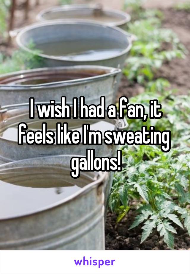 I wish I had a fan, it feels like I'm sweating  gallons!