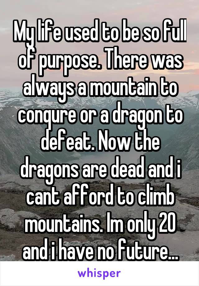 My life used to be so full of purpose. There was always a mountain to conqure or a dragon to defeat. Now the dragons are dead and i cant afford to climb mountains. Im only 20 and i have no future...