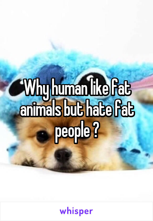 Why human like fat animals but hate fat people ?