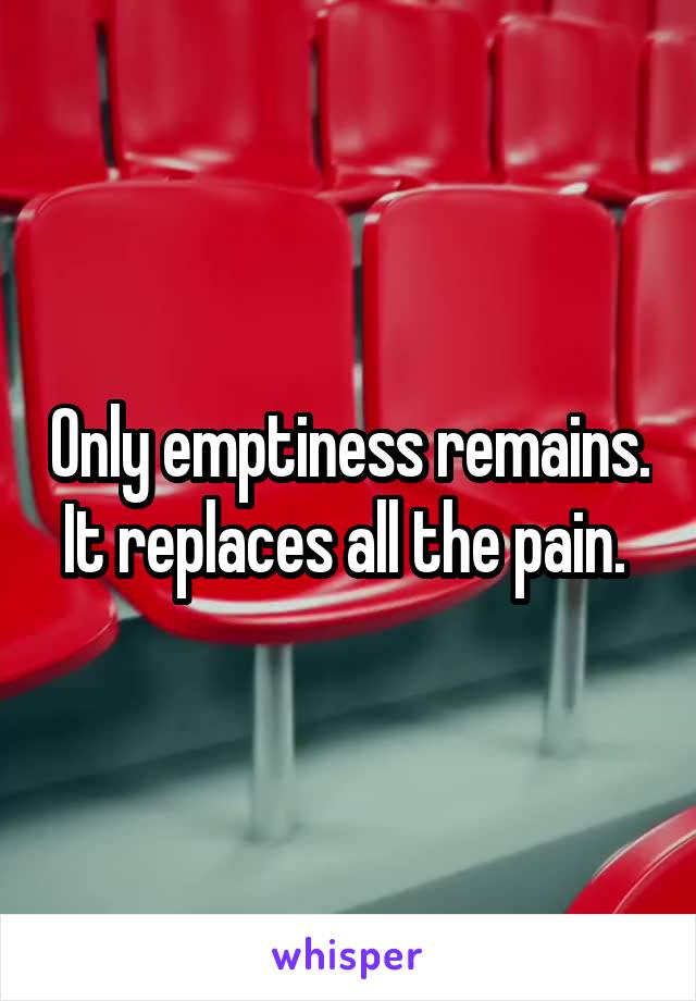 Only emptiness remains. It replaces all the pain. 