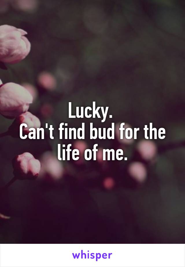 Lucky. 
Can't find bud for the life of me.