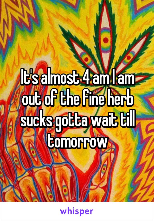 It's almost 4 am I am out of the fine herb sucks gotta wait till tomorrow