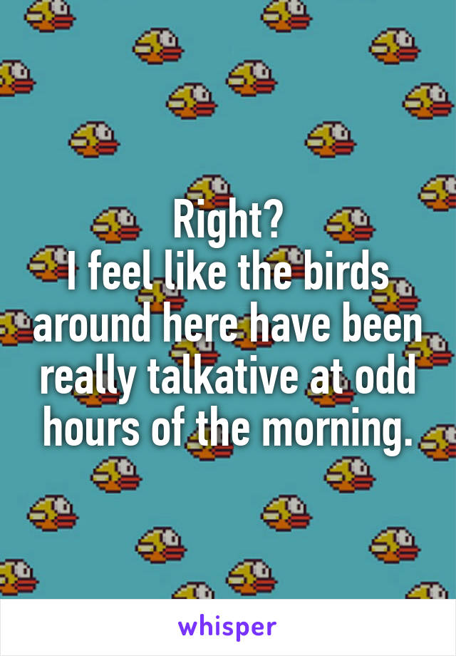 Right?
I feel like the birds around here have been really talkative at odd hours of the morning.