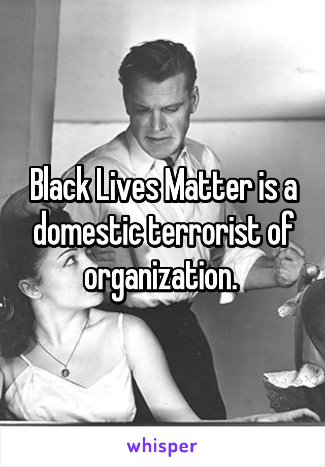 Black Lives Matter is a domestic terrorist of organization. 