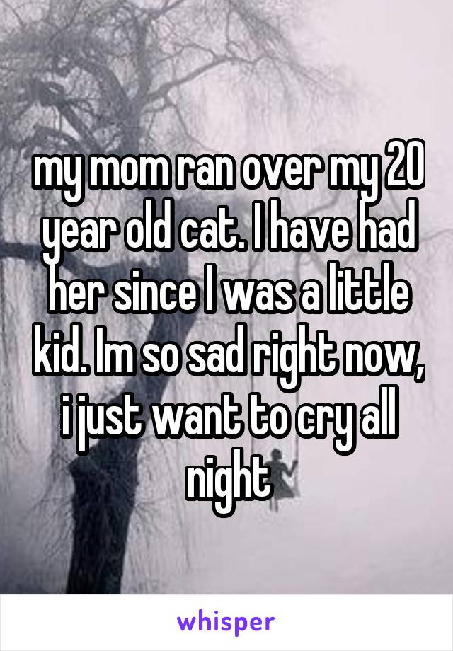 my mom ran over my 20 year old cat. I have had her since I was a little kid. Im so sad right now, i just want to cry all night