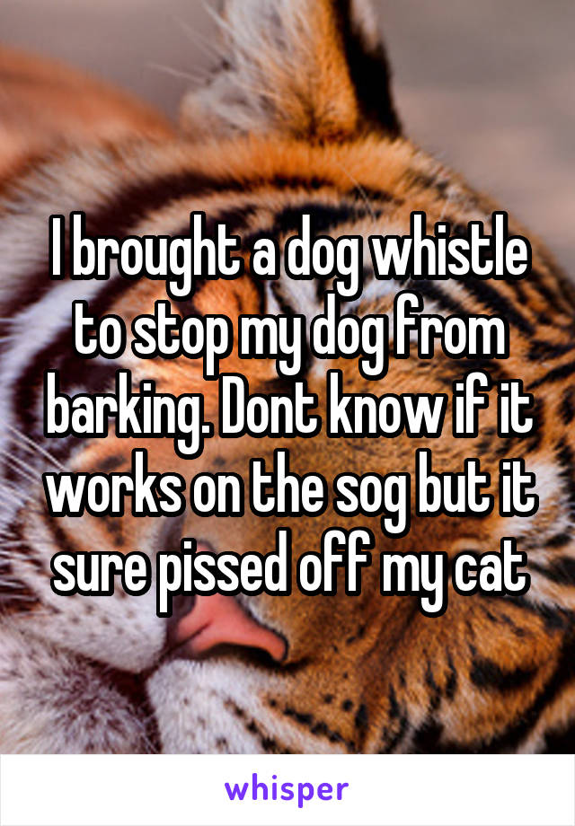 I brought a dog whistle to stop my dog from barking. Dont know if it works on the sog but it sure pissed off my cat