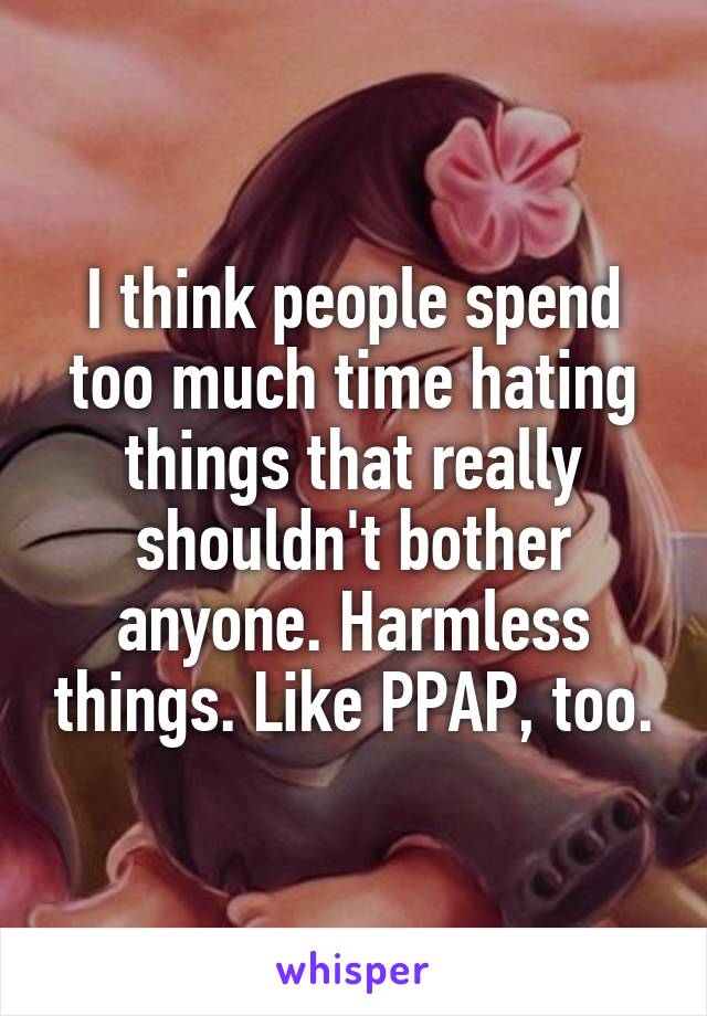 I think people spend too much time hating things that really shouldn't bother anyone. Harmless things. Like PPAP, too.