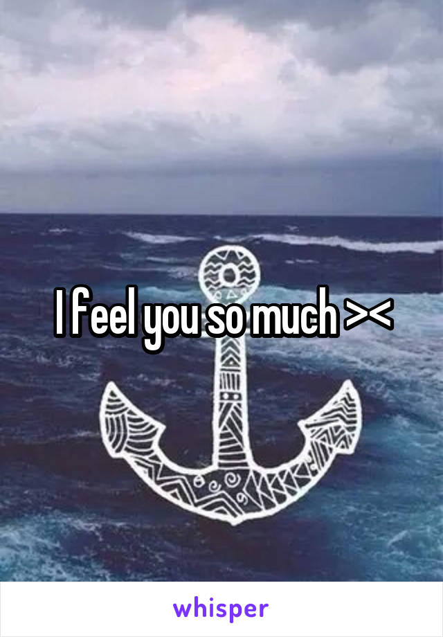 I feel you so much ><
