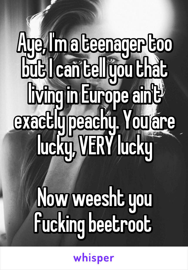 Aye, I'm a teenager too but I can tell you that living in Europe ain't exactly peachy. You are lucky, VERY lucky

Now weesht you fucking beetroot 