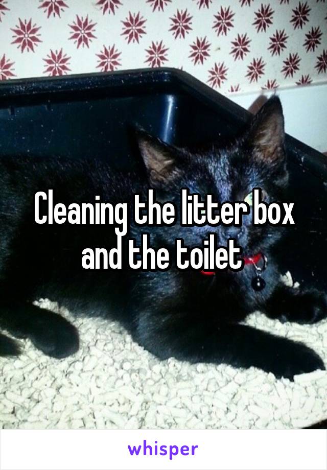 Cleaning the litter box and the toilet 