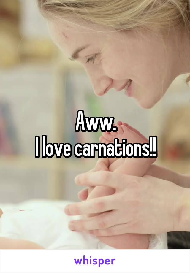 Aww.
I love carnations!!