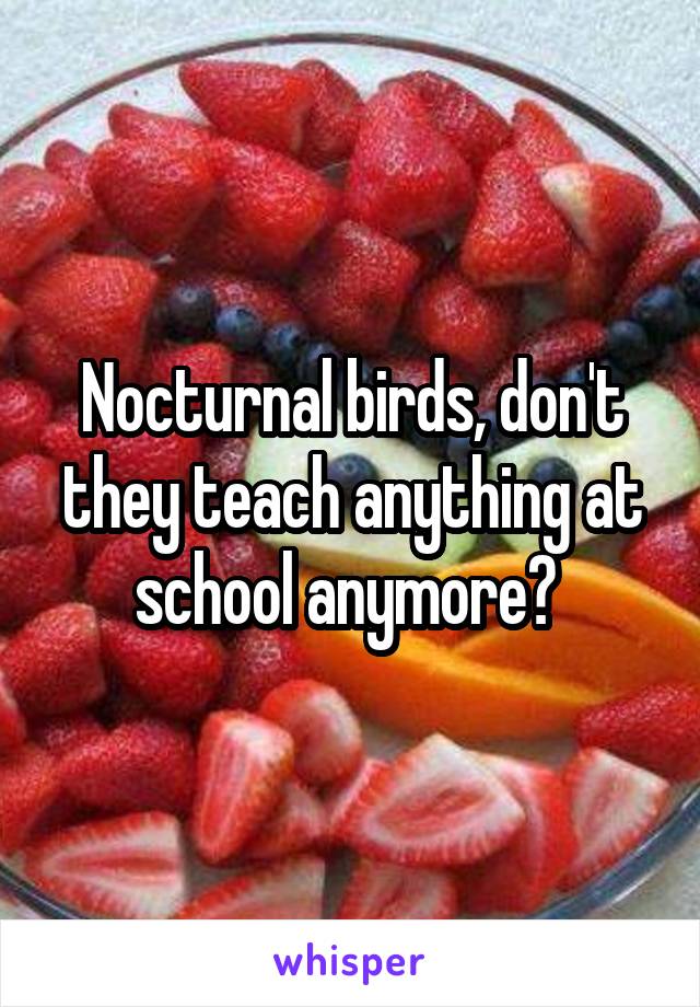 Nocturnal birds, don't they teach anything at school anymore? 