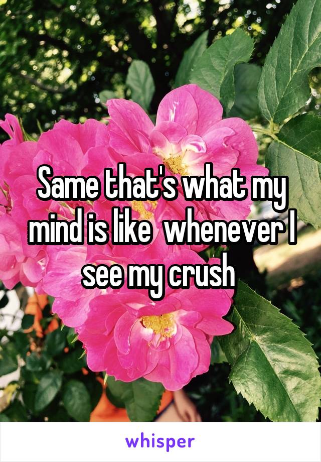 Same that's what my mind is like  whenever I see my crush 