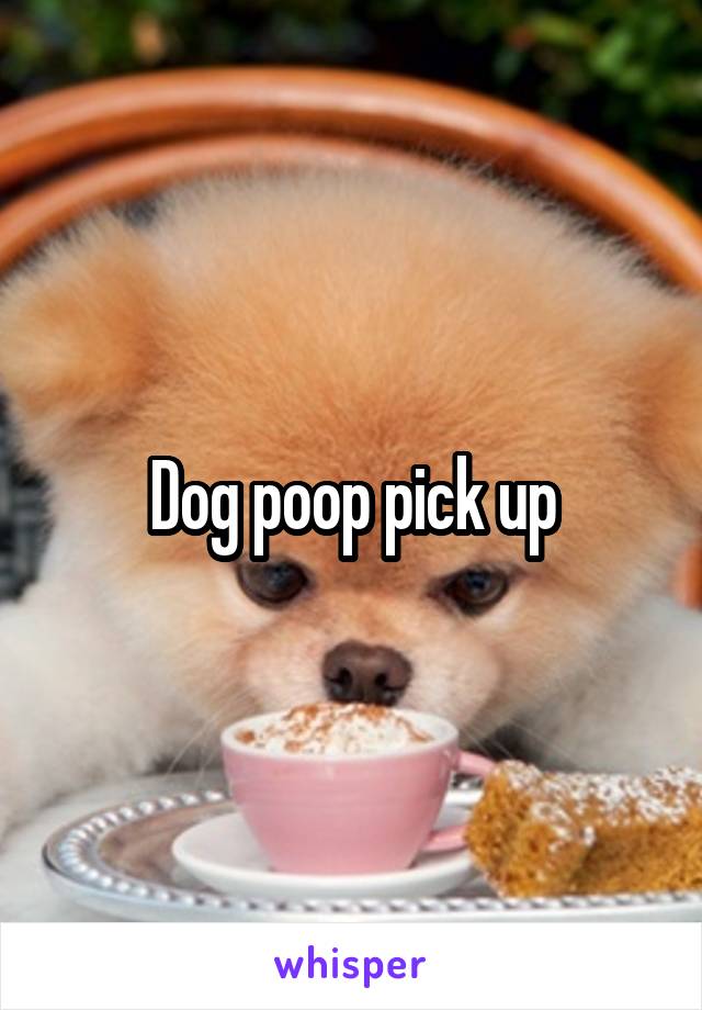 Dog poop pick up