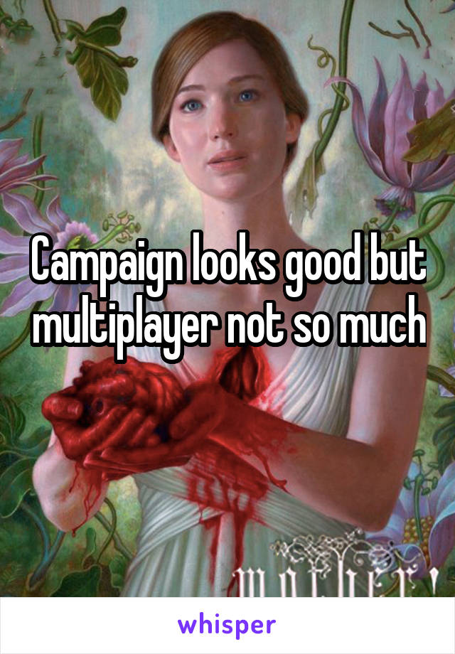 Campaign looks good but multiplayer not so much 