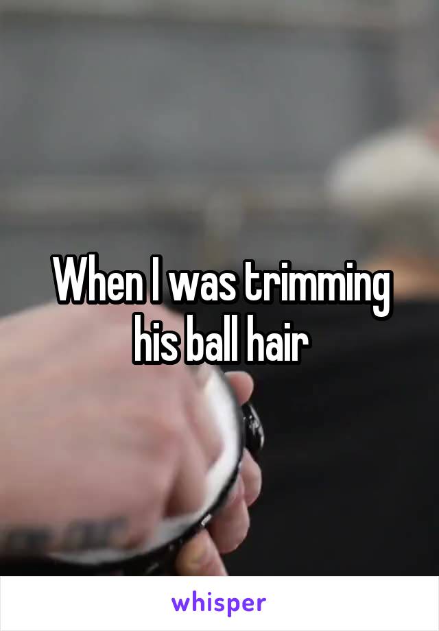 When I was trimming his ball hair