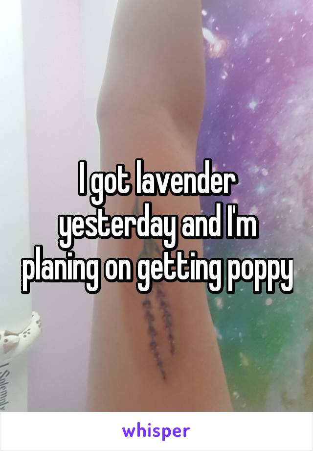 I got lavender yesterday and I'm planing on getting poppy