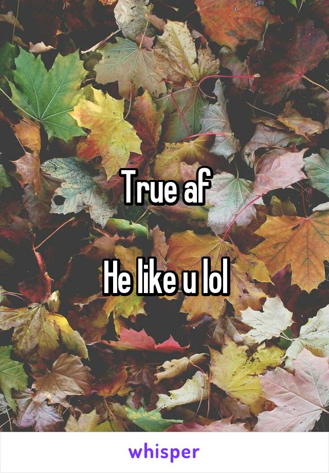 True af

He like u lol