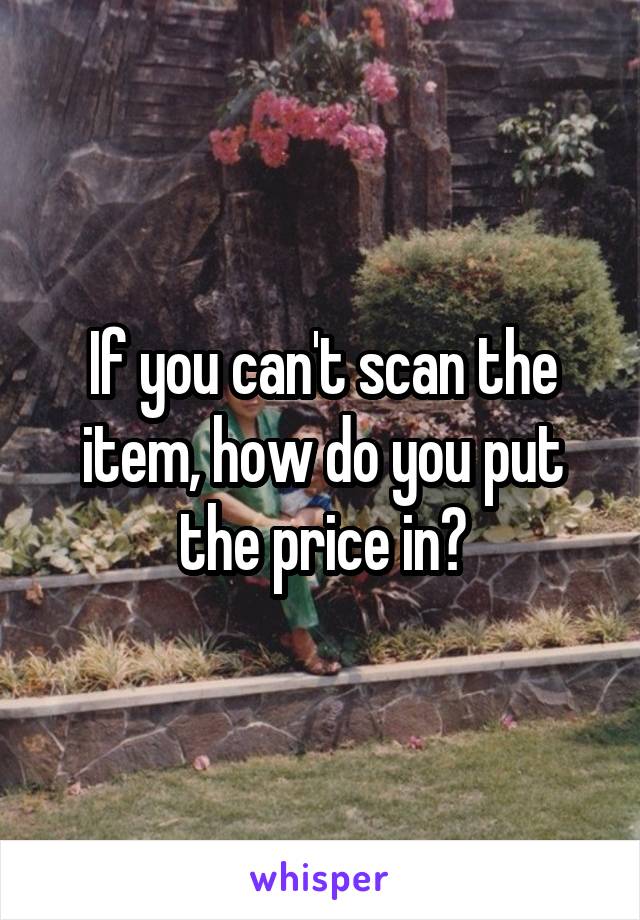 If you can't scan the item, how do you put the price in?