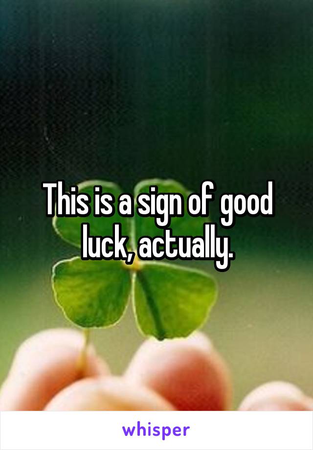 This is a sign of good luck, actually.