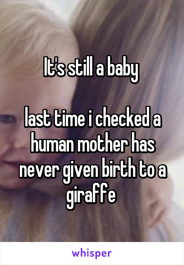 It's still a baby 

last time i checked a human mother has never given birth to a giraffe 