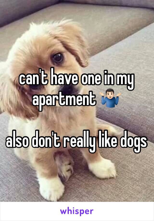 can't have one in my apartment 🤷🏻‍♂️

also don't really like dogs