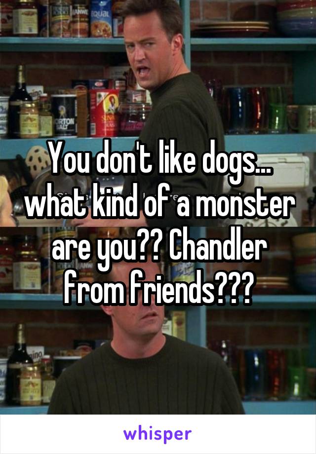 You don't like dogs... what kind of a monster are you?? Chandler from friends???