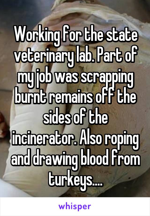 Working for the state veterinary lab. Part of my job was scrapping burnt remains off the sides of the incinerator. Also roping and drawing blood from turkeys....