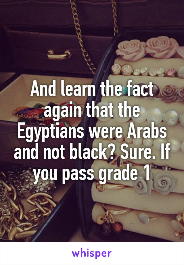 And learn the fact again that the Egyptians were Arabs and not black? Sure. If you pass grade 1