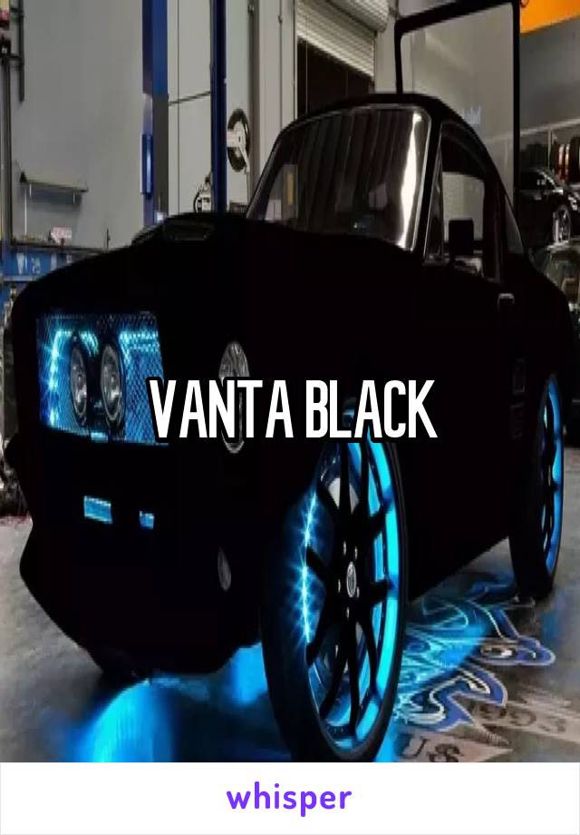 VANTA BLACK