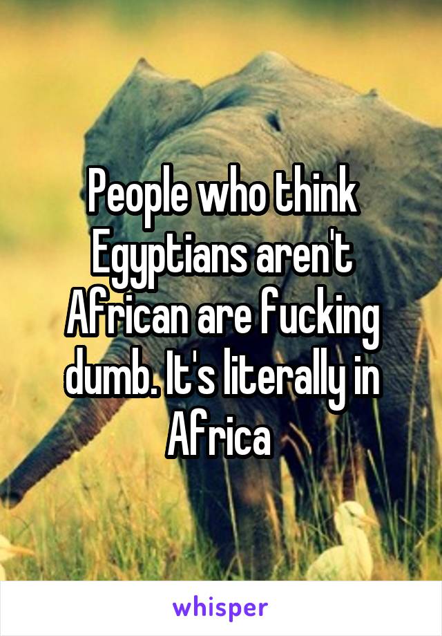 People who think Egyptians aren't African are fucking dumb. It's literally in Africa 