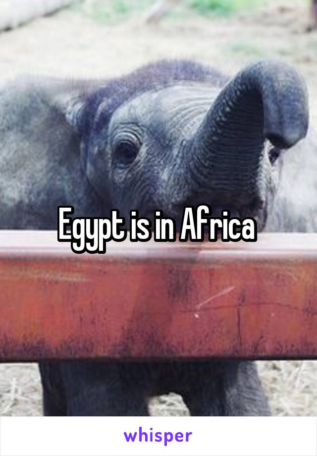 Egypt is in Africa 