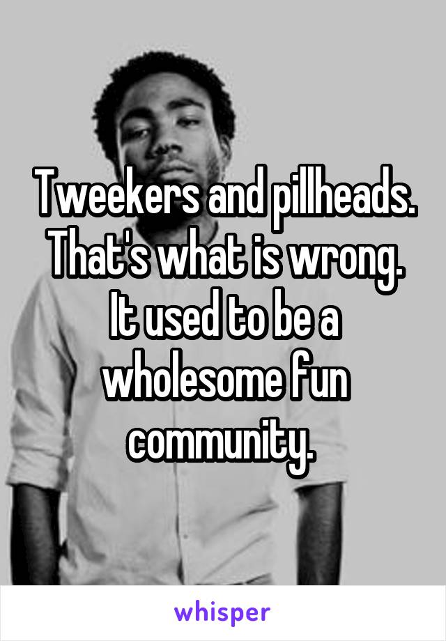 Tweekers and pillheads. That's what is wrong. It used to be a wholesome fun community. 