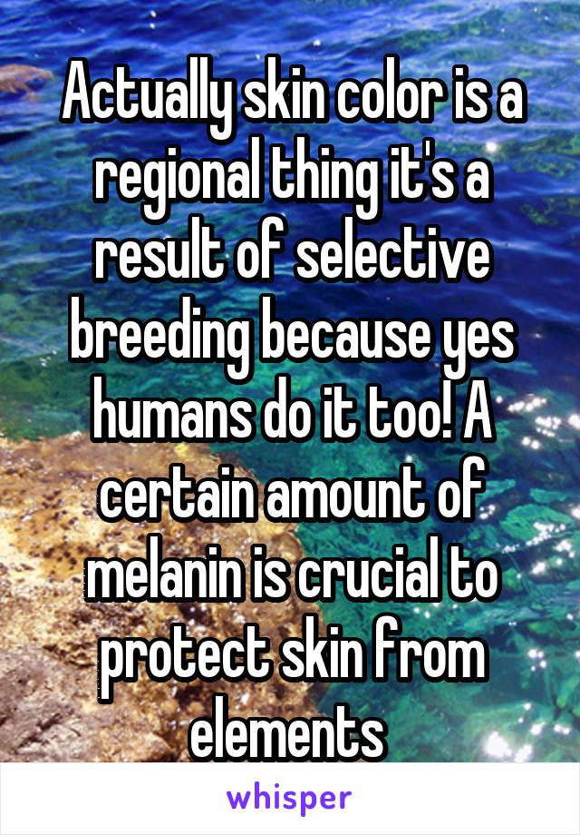 Actually skin color is a regional thing it's a result of selective breeding because yes humans do it too! A certain amount of melanin is crucial to protect skin from elements 