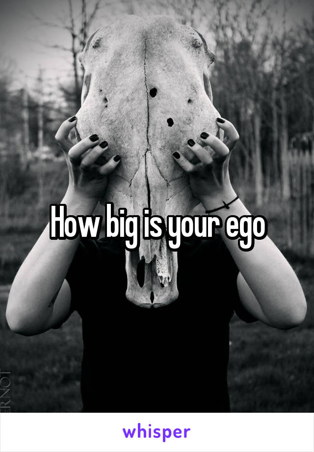 How big is your ego