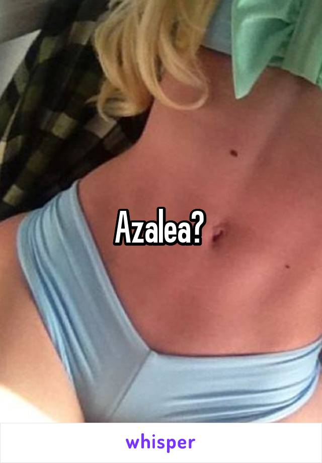 Azalea? 