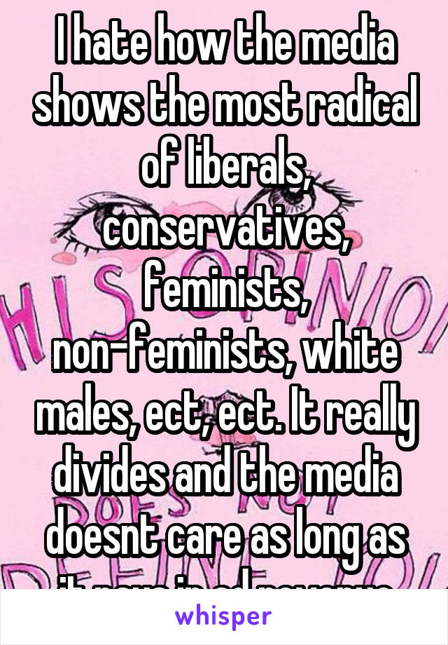 I hate how the media shows the most radical of liberals, conservatives, feminists, non-feminists, white males, ect, ect. It really divides and the media doesnt care as long as it pays in ad revenue