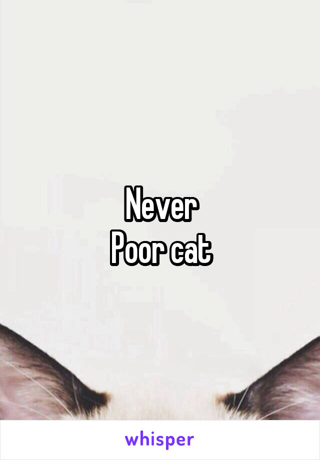 Never
Poor cat