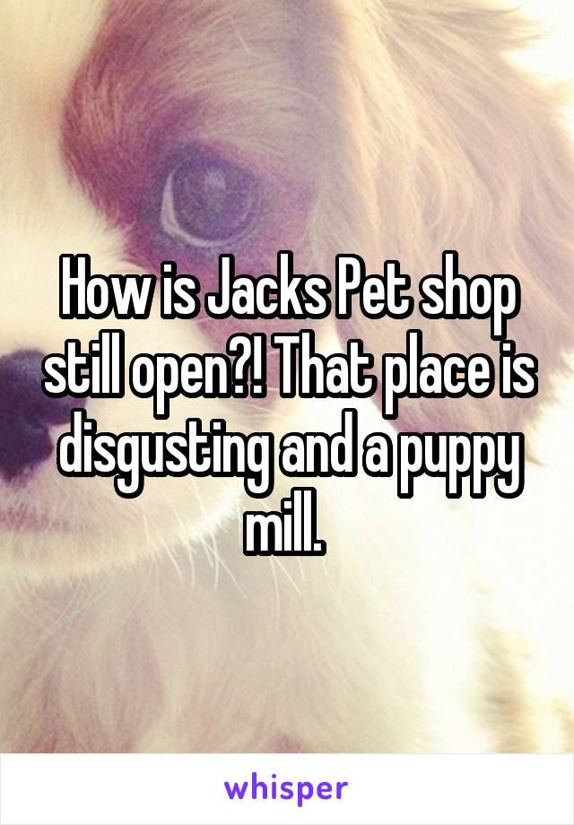 How is Jacks Pet shop still open?! That place is disgusting and a puppy mill. 