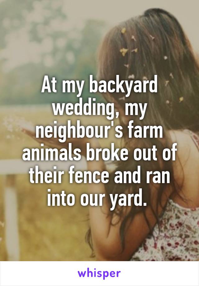 At my backyard wedding, my neighbour's farm animals broke out of their fence and ran into our yard. 