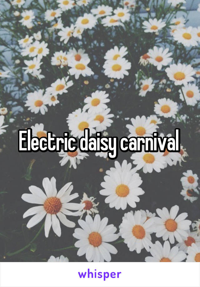 Electric daisy carnival 